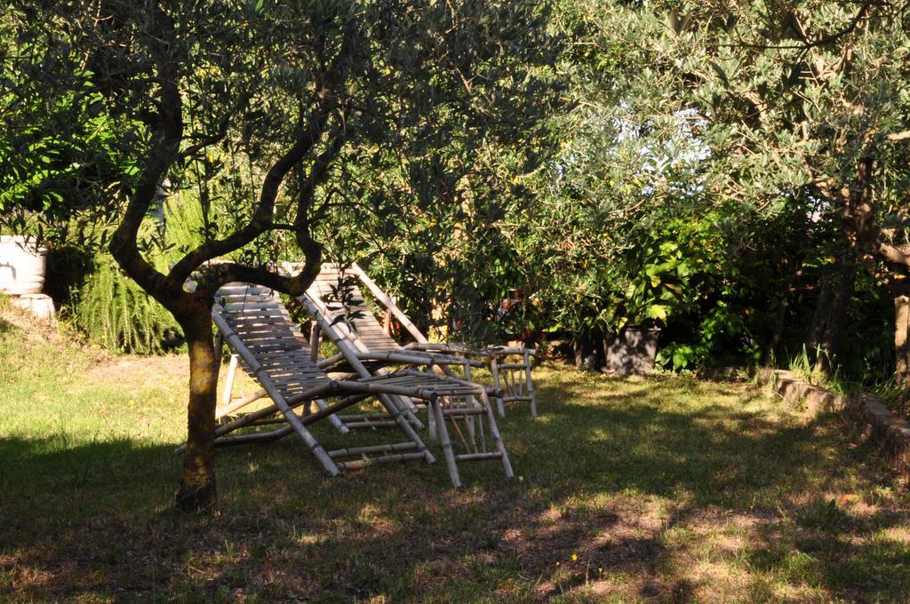 Hotel Firenze Chianciano Terme Ngoại thất bức ảnh